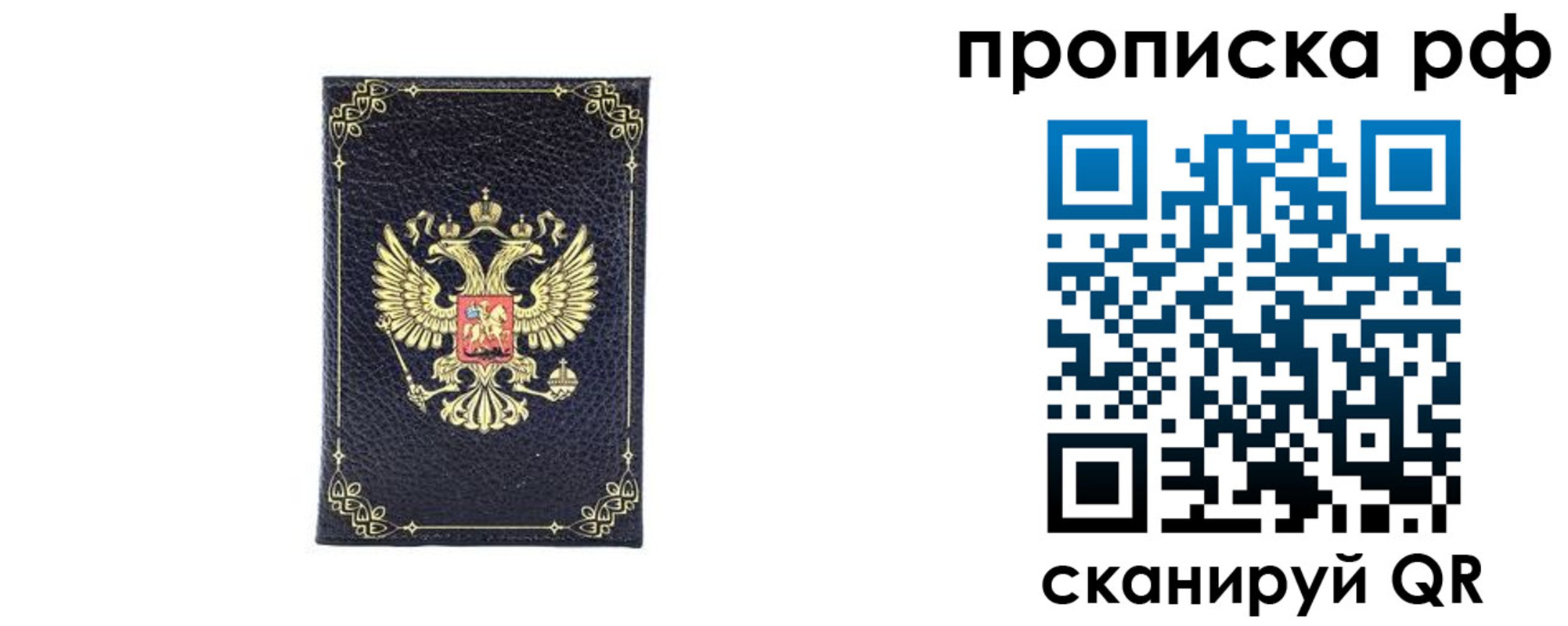прописка для школы в Раменском